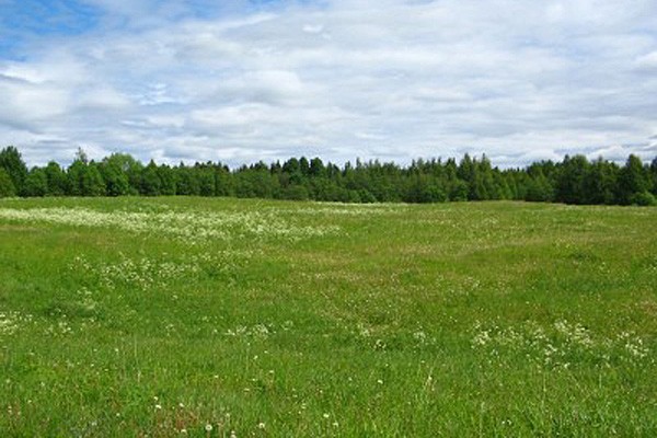 коттеджный поселок Зеленые холмы